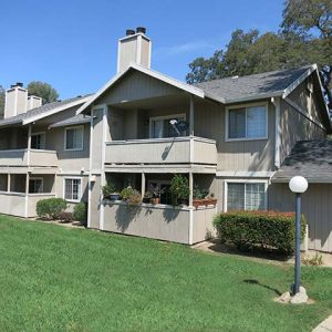 Community landscape and apartment buildings