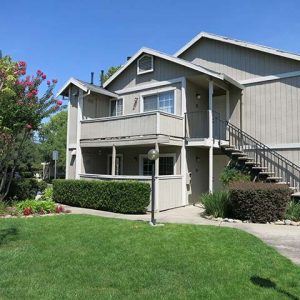 Community landscape and apartment buildings